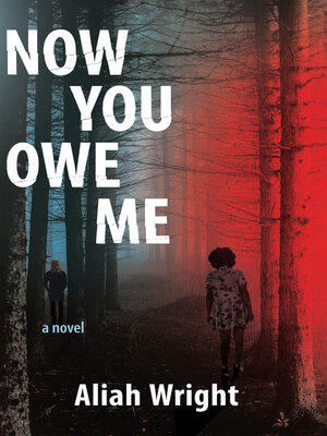 cover image of Now You Owe Me